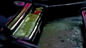 Vintage Step Sister Liaison