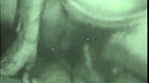 dark lantern presents vintage porn collection