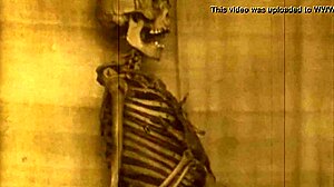 Dark Lantern Entertainment Presents Looking Good for Her Age