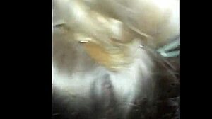 Savory Summer Chocolate Blowjob With Glasses