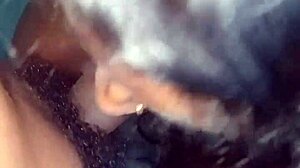 pampaboudi gives her husband a blowjob with her big tits bouncing