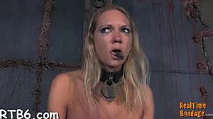 Hot Beauty Coerced Into Belted Body Bag