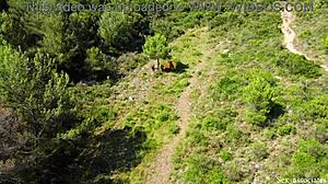 Did You See the Drone Catch That Young Couple Fucking Outdoors?