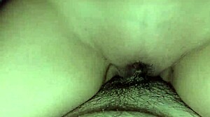 i got this wet babe riding me reverse then on all fours