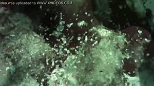 Dark Lantern Entertainment Presents Vintage Retro Classics