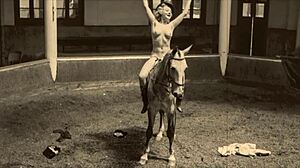 Dark Lantern Entertainment Presents Vintage Retro Classics