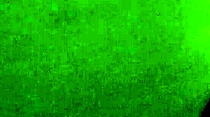 Why Masturbate with a Bottle, Latina?