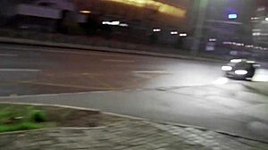 Horny Street Hooker Fucked in Fur Coat