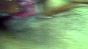 What Secrets Hide in Panocha's Wild World?