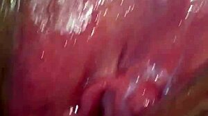 What Secrets Hide in Panocha's Wild World?