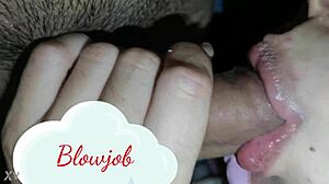 Enchanting brunette delivers amateur blowjob to black cock in the boy