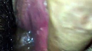 What Secrets Hide in Panocha's Wild World?