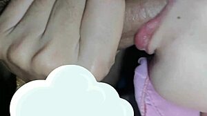 Enchanting brunette delivers amateur blowjob to black cock in the boy