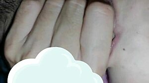 Enchanting brunette delivers amateur blowjob to black cock in the boy