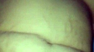 What Secrets Hide in Panocha's Wild World?