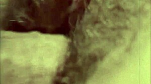 Vintage Hairy Antique Retro Collection