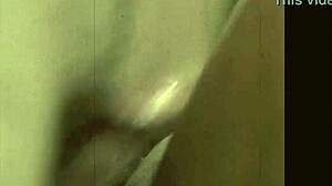 Vintage Hairy Antique Retro Collection