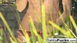 Blonde Teen Dahlia Sky Enjoys Solo Toy Playtime With Vibrators And Dildos.