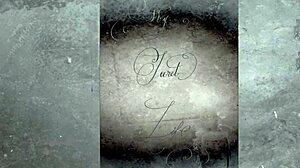 dark lantern entertainment presents two centuries of vintage porn