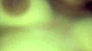 What Secrets Hide in Panocha's Wild World?