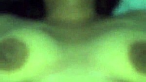 What Secrets Hide in Panocha's Wild World?