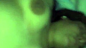 What Secrets Hide in Panocha's Wild World?