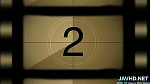 Discover what to do with legs in stockings, volume 31