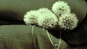 Dark Lantern's erotic confessions in full vintage movie!