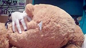 Hey, wanna be my teddy bear for some wild anal toy play tonight?