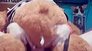 Hey, wanna be my teddy bear for some wild anal toy play tonight?