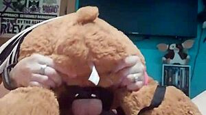 Hey, wanna be my teddy bear for some wild anal toy play tonight?