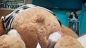 Hey, wanna be my teddy bear for some wild anal toy play tonight?