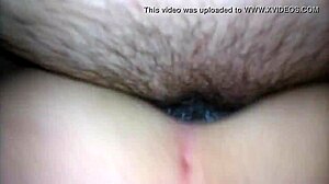 fucking the neighbors girl