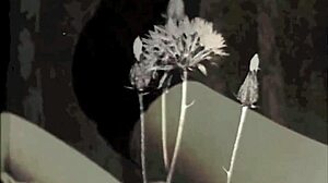 Wonderful world of vintage threesomes