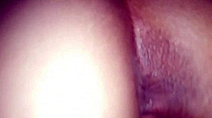 brazilian cam girl teasing with her body?