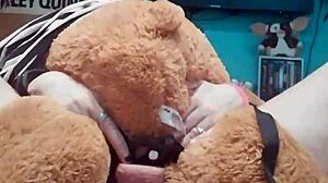 Hey, wanna be my teddy bear for some wild anal toy play tonight?