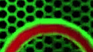 maxine squirts after playing with her favorite toys