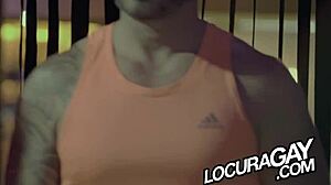 he asks, want to see me bareback the waiter martin mazza