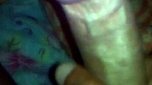 Brazilian Culture Showcase with Glamour and Group Elements