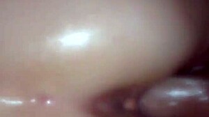 this oiled pussy is the best for cock fucking