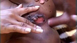 Hooter Nation Volume 8 Scene 1 Hardcore Anal Fucking