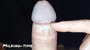 intense tickling of mushroom glans leads to amazing lactating milk handjob