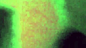 Quick Encounter with Peruvian Coworker