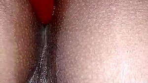 I fuck her lil ass in group sex