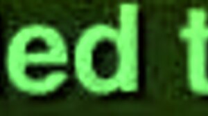 Amateur Homemade Video Captures Everyday Moments With Excitement