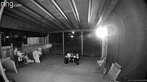 caught sucking big cock on porch with neighbors watching deepthroat skills