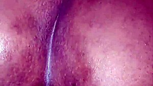 My ebony neighbor offers her big ass and pussy for intense anal fucking until dawn.
