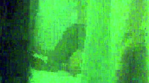 British voyeur watches interracial amateur encounter