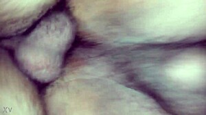 mature gay amateur guy sucking cock and getting fucked hard