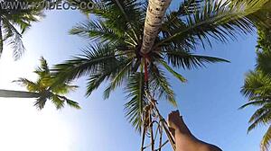 Shibari in Public Beach Display - Lordshibarifloripa's Bold Outdoor Fetish
